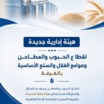 الحبوب 150x150