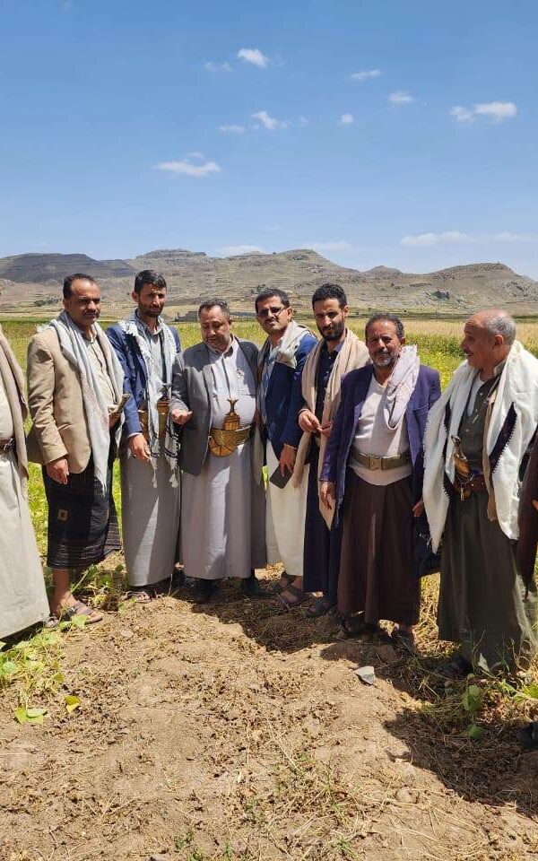 التعاقدية 600x960